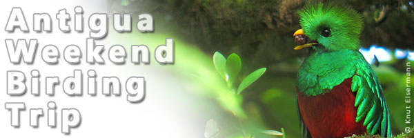Birding weekend from Antigua Guatemala