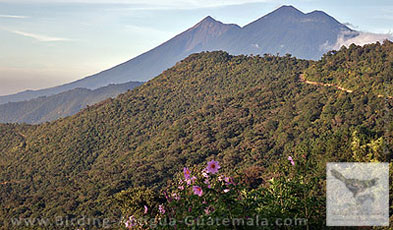 Fuego and Acatenango volcanoes towering over semideciduous forest near Antigua Guatemala.