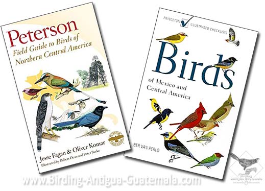 Peterson, van Berlo, birds of Mexico, Central America