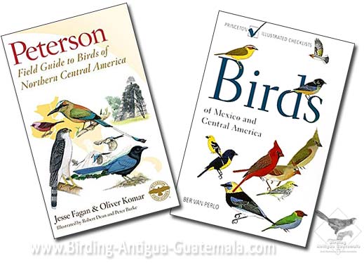 Peterson, van Berlo, birds of Mexico, Central America