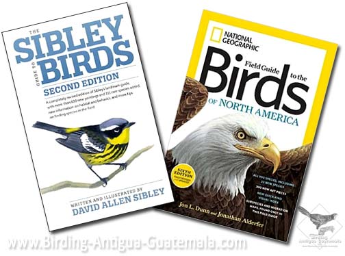 Sibley, National Geographic, birds of North America