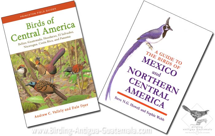 Howell and Webb (1995) Birds of Mexico and northern Central America, Valley and Dyer (2018) Birds of Central America: Belize, Guatemala, Honduras, El Salvador, Nicaragua, Costa Rica, and Panama.